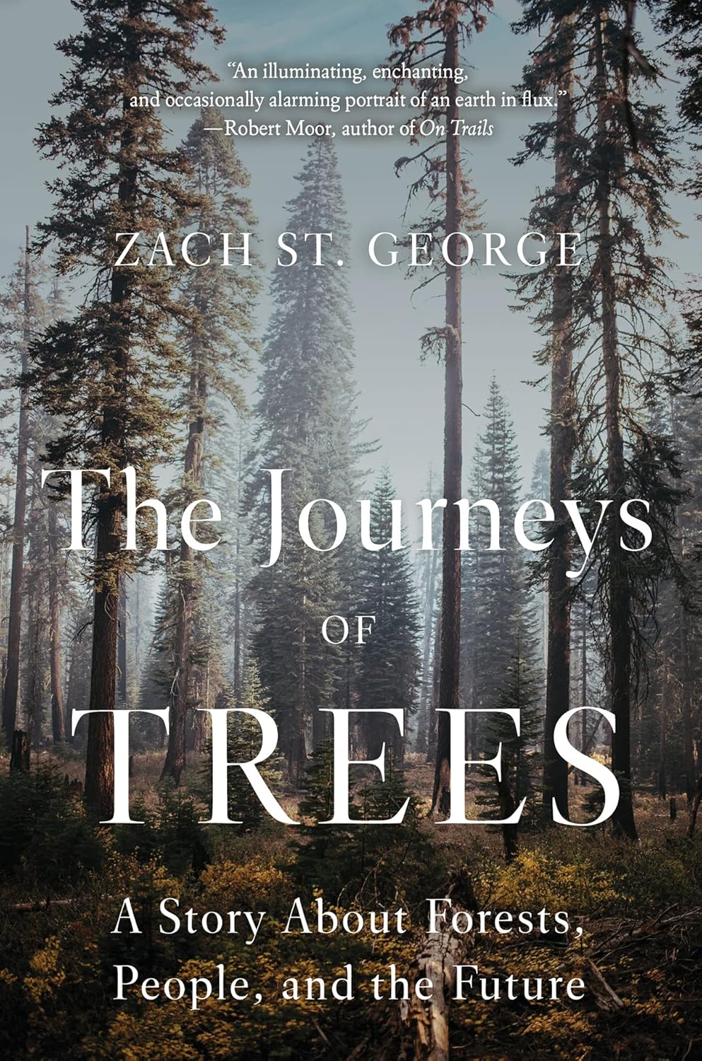 The Journeys of Trees by Zach St. George book cover