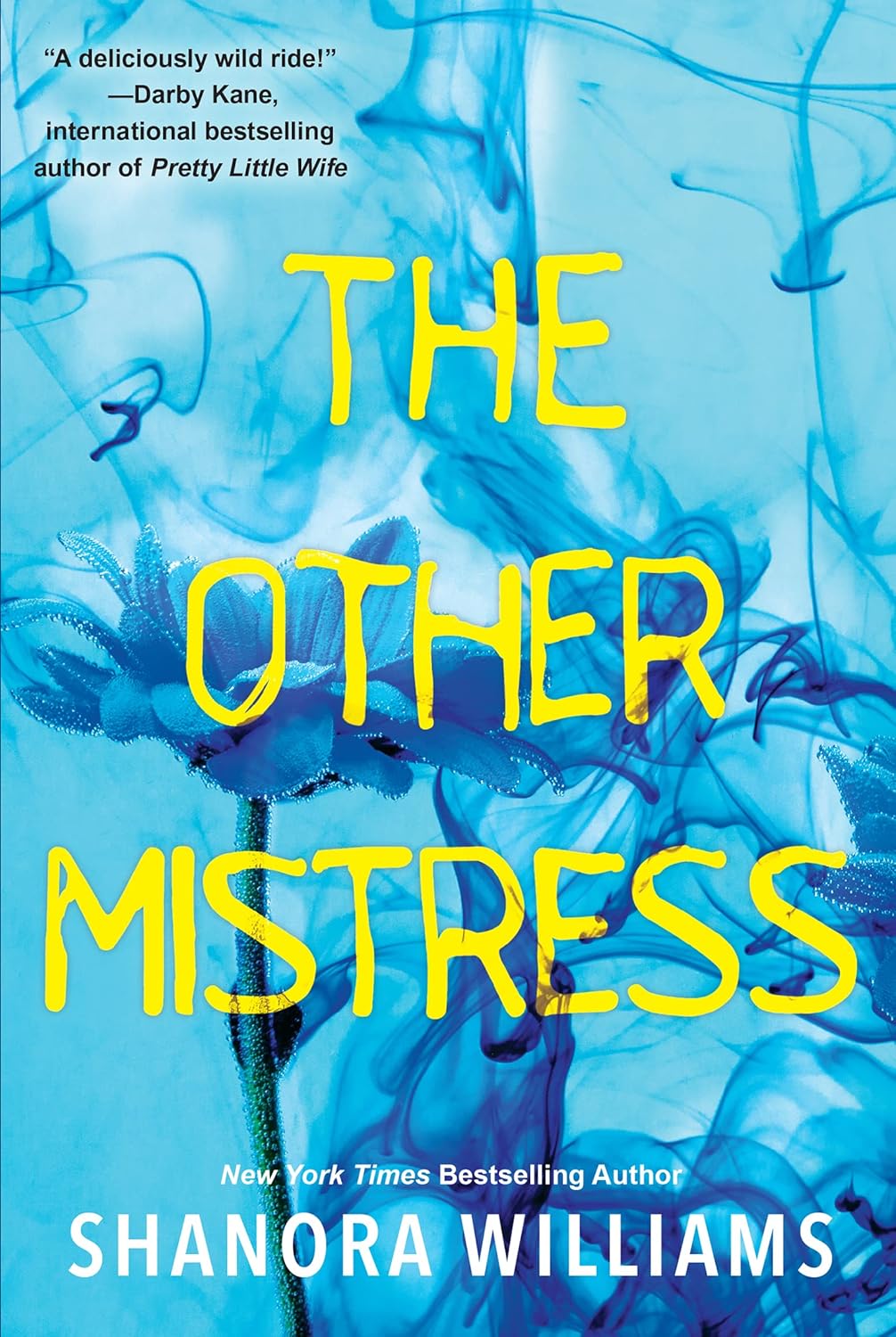 The Other Mistress by Shanora Williams book cover