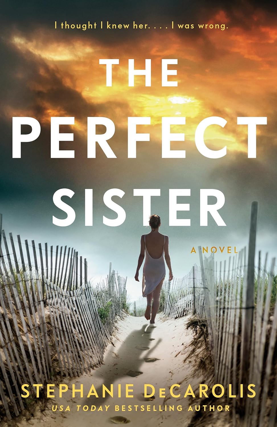 The Perfect Sister by Stephanie DeCarolis book cover