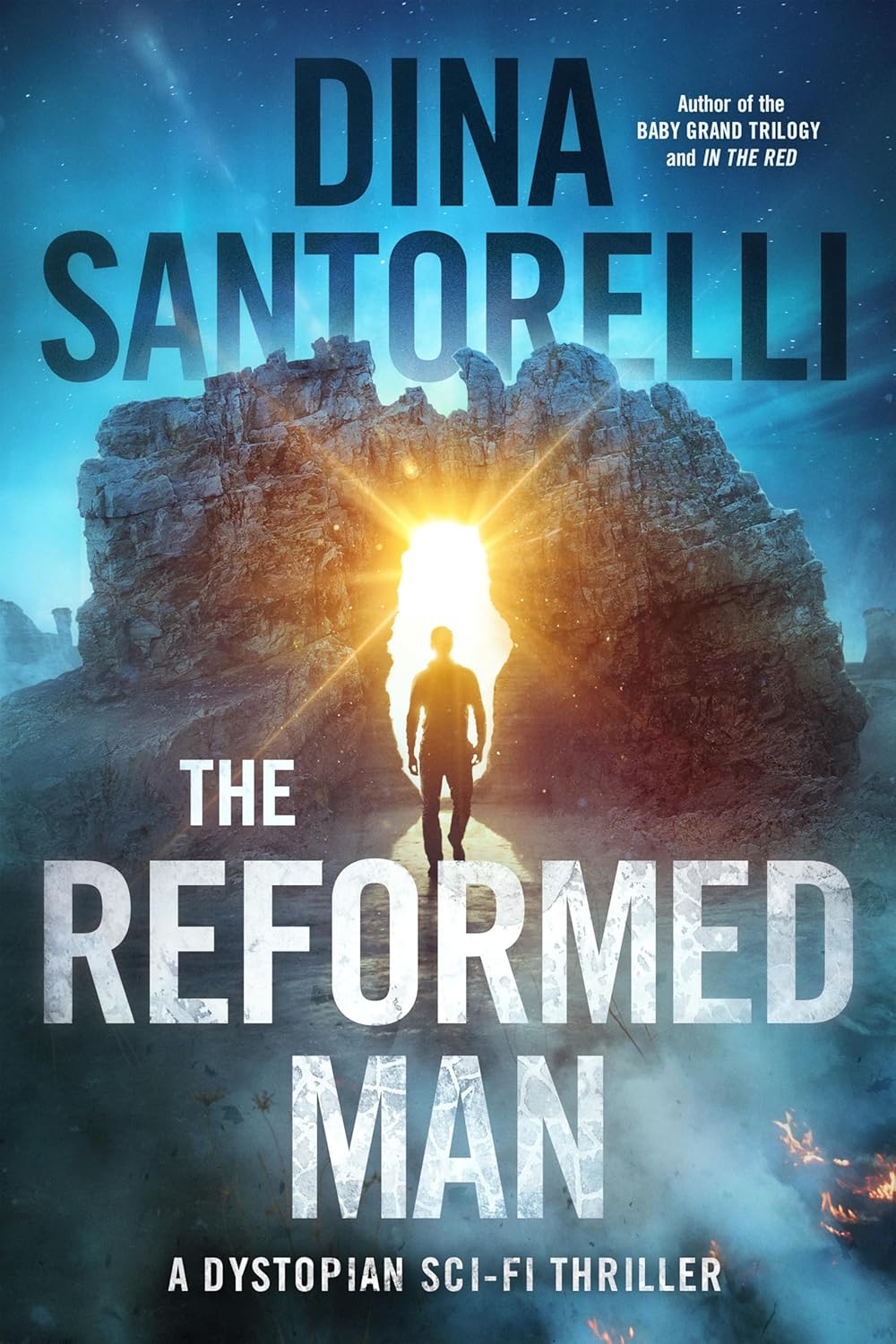 The Reformed Man by Dina Santorelli book cover