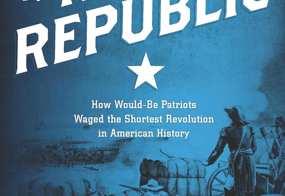 The Rogue Republic