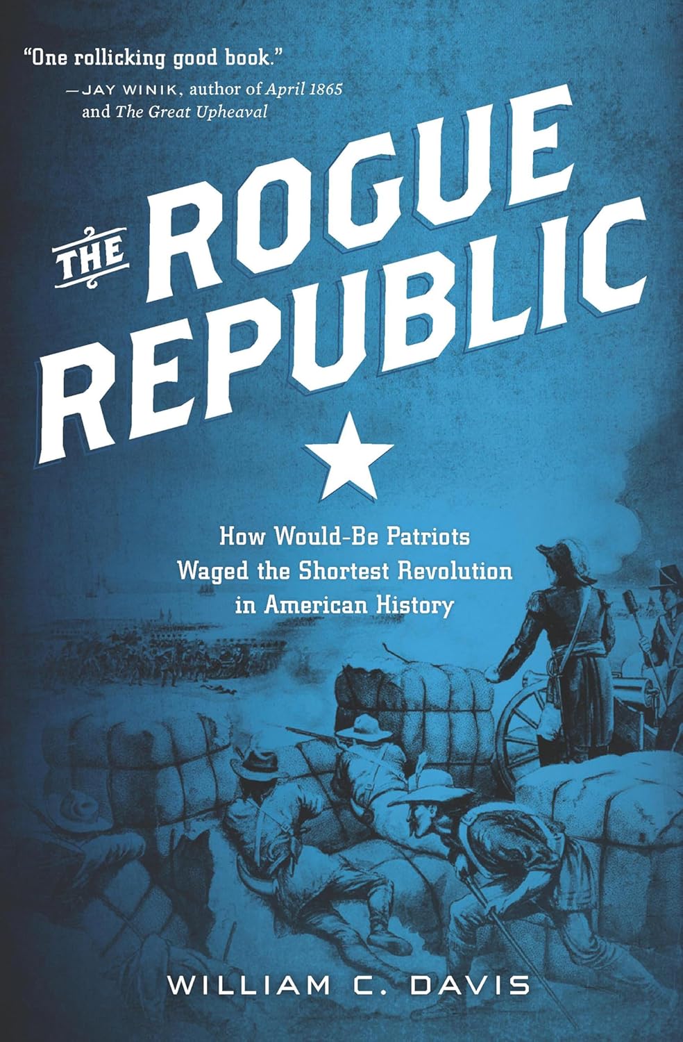 The Rogue Republic by William C. Davis book cover