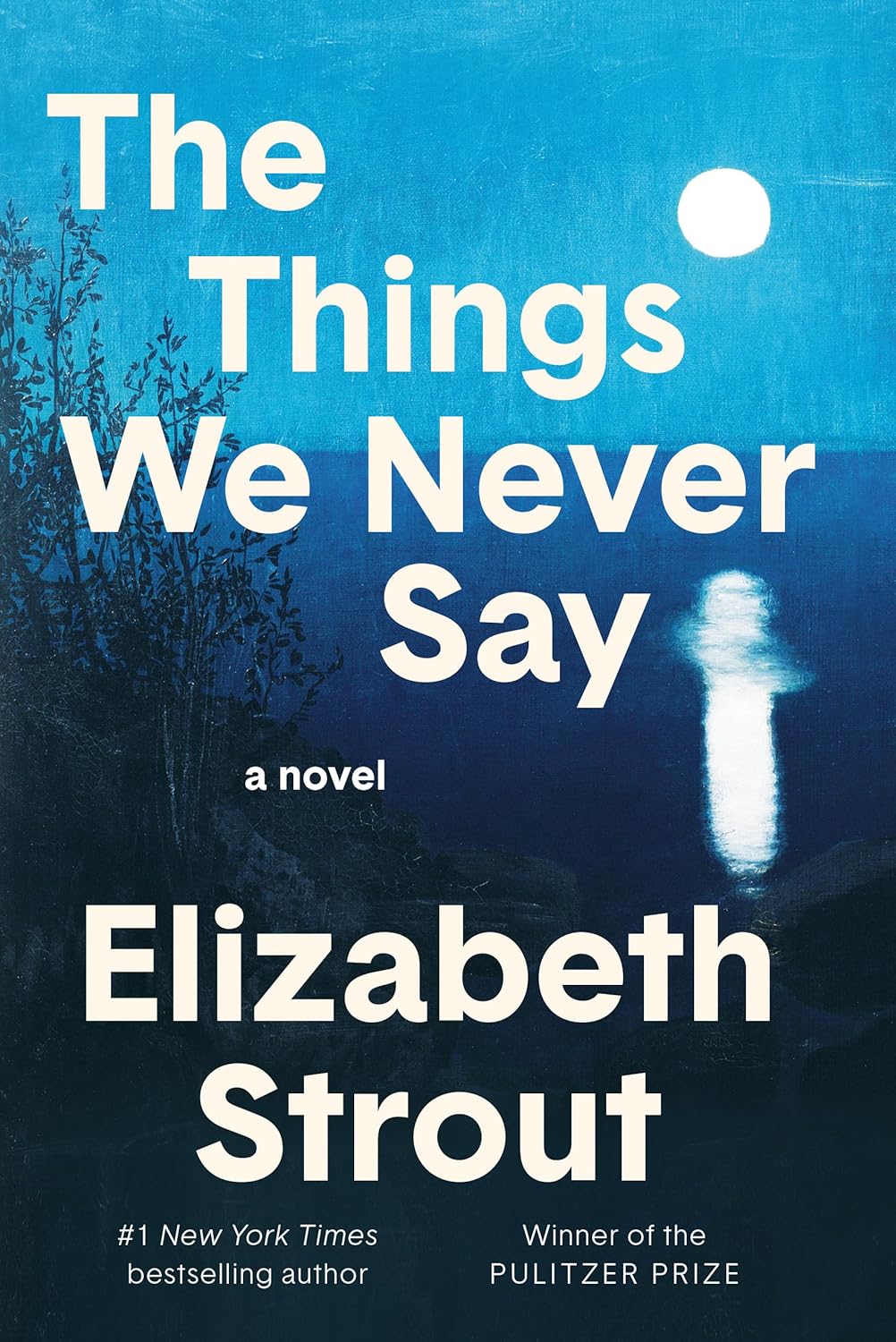 The Things We Never Say by Elizabeth Strout book cover