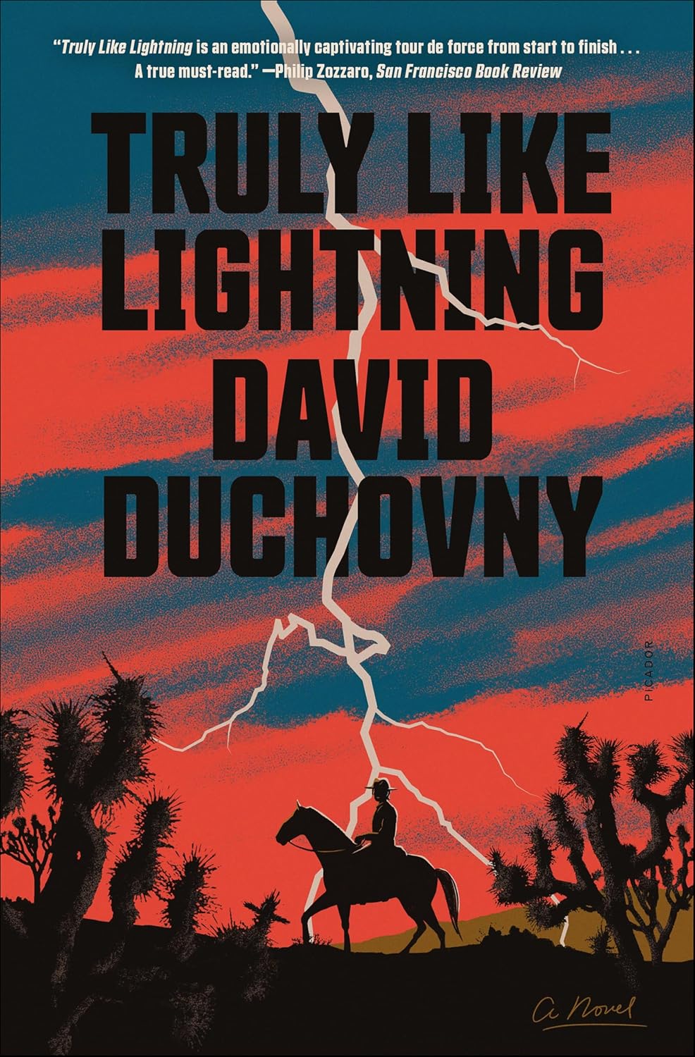 Truly Like Lightning by David Duchovny book cover