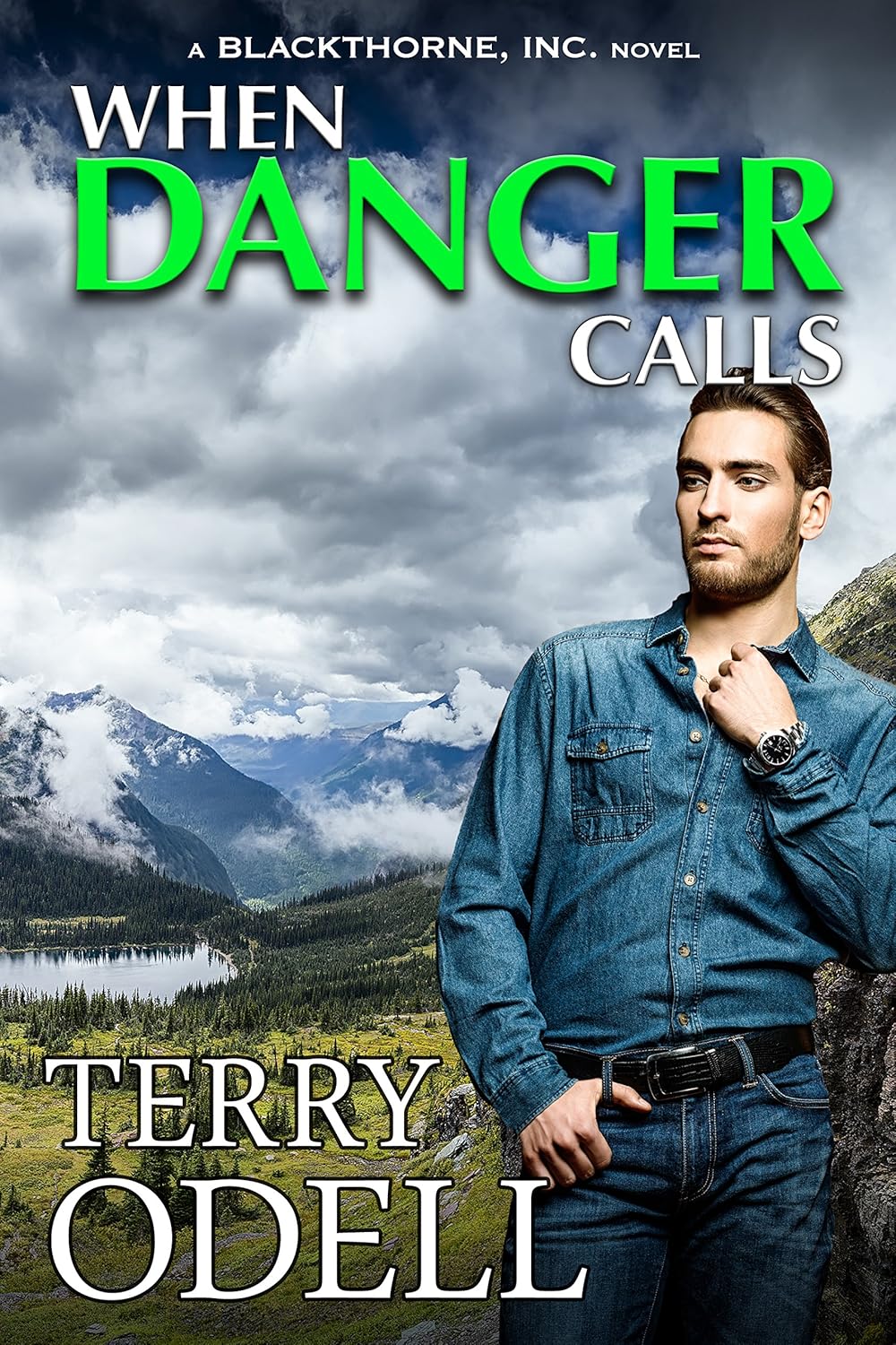 When Danger Calls by Terry Odell book cover