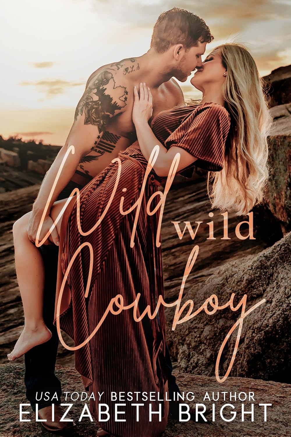 Wild, Wild Cowboy by Elizabeth Bright book cover