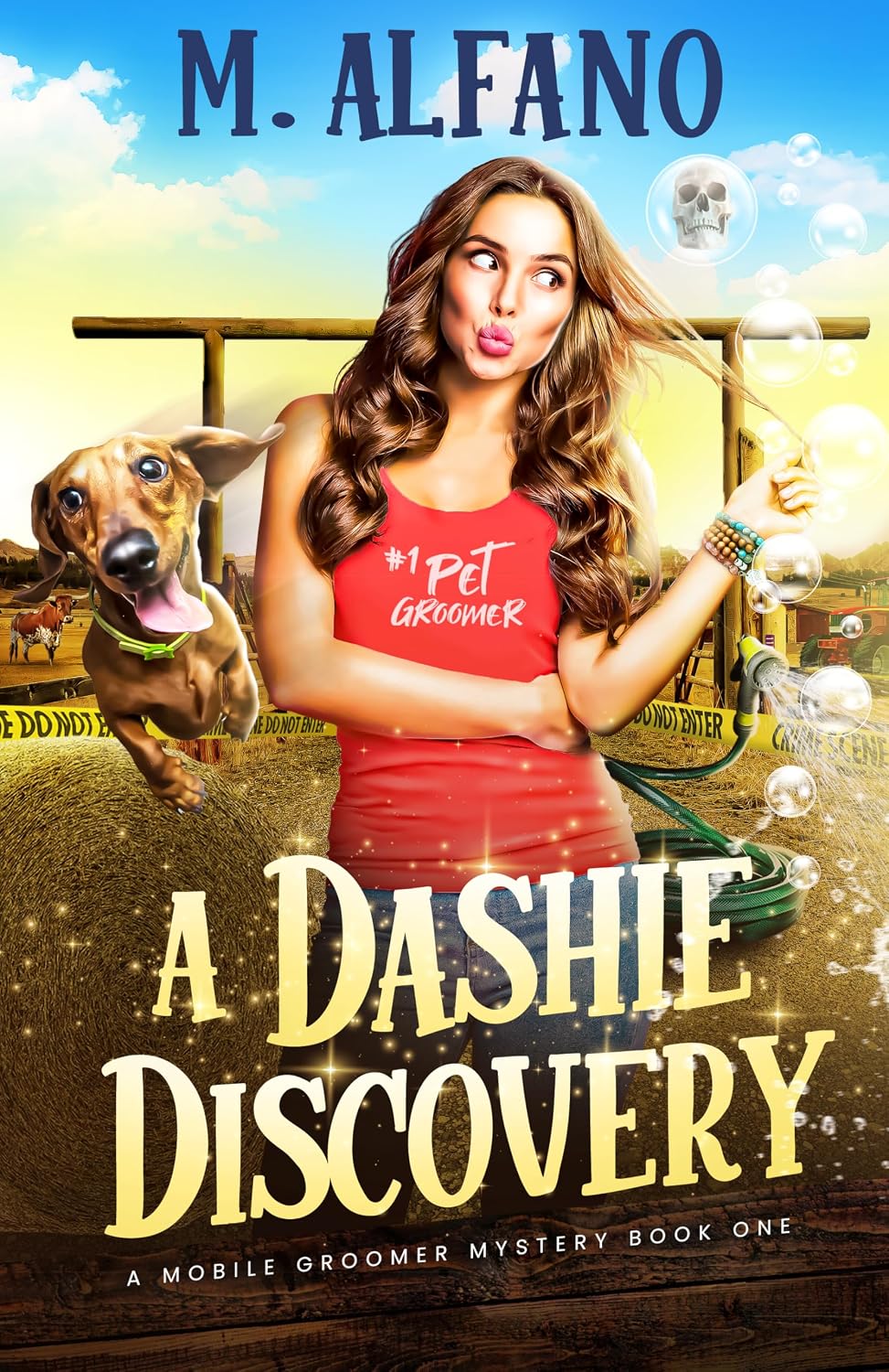 A Dashie Discovery by M. Alfano book cover