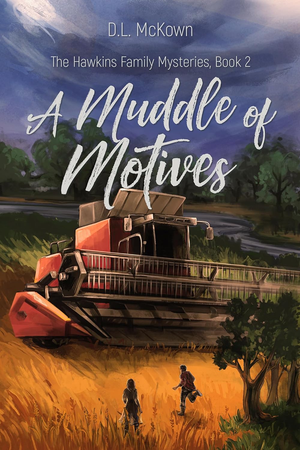 A Muddle of Motives by D.L. McKown book cover