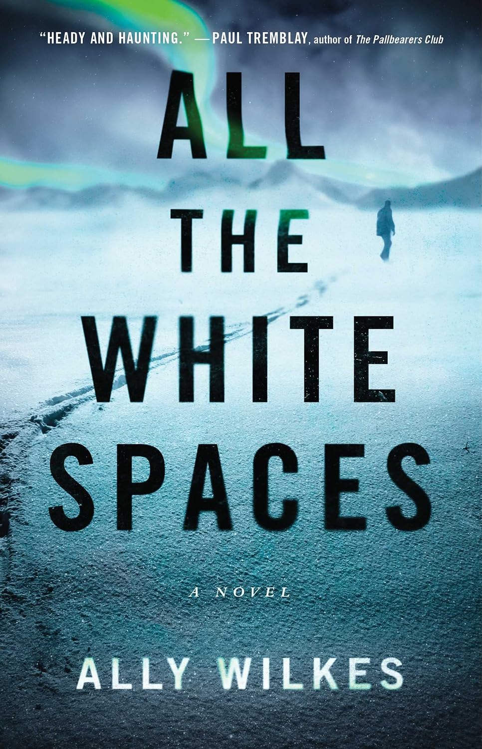 All the White Spaces by Ally Wilkes book cover