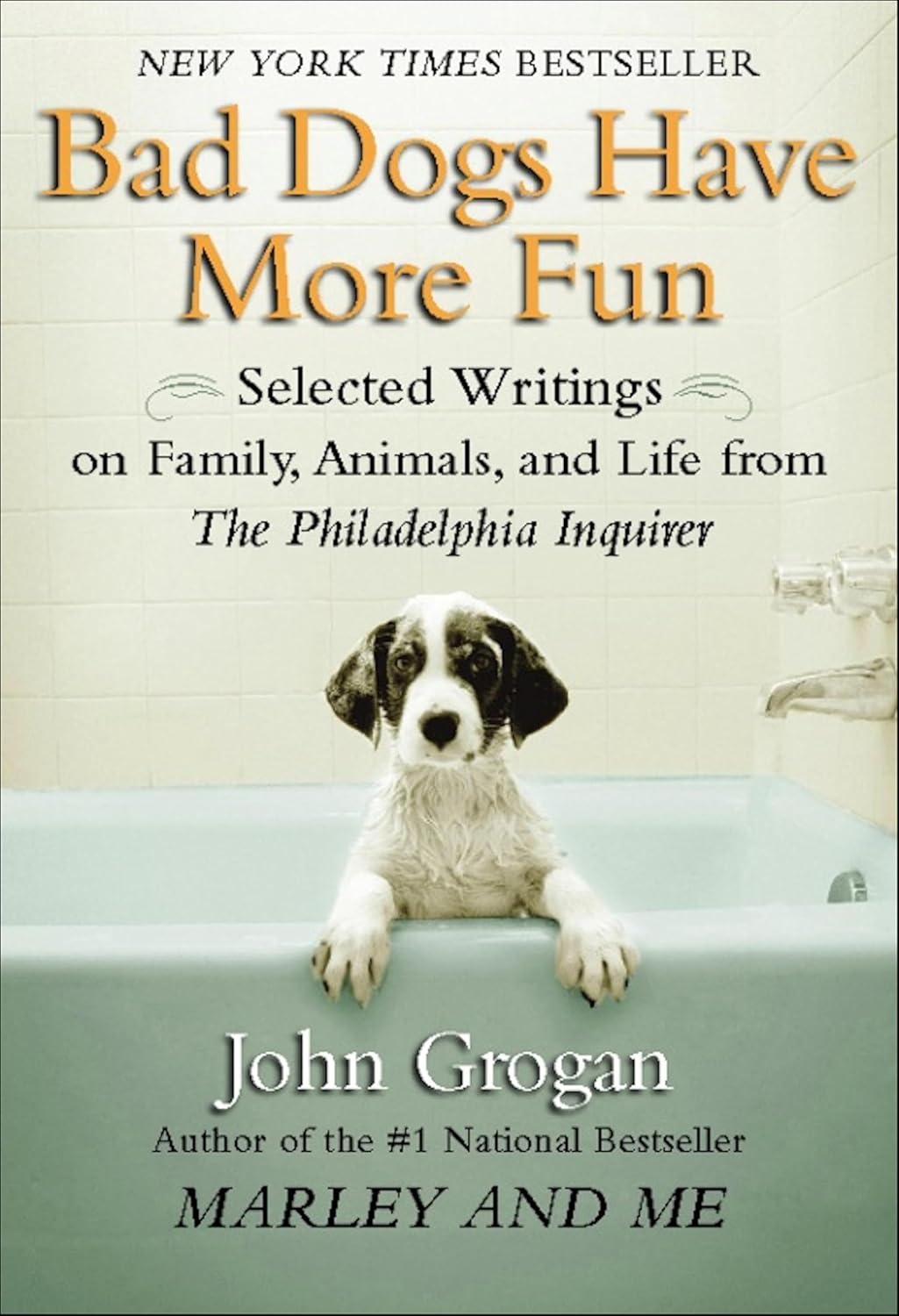 Bad Dogs Have More Fun by John Grogan book cover