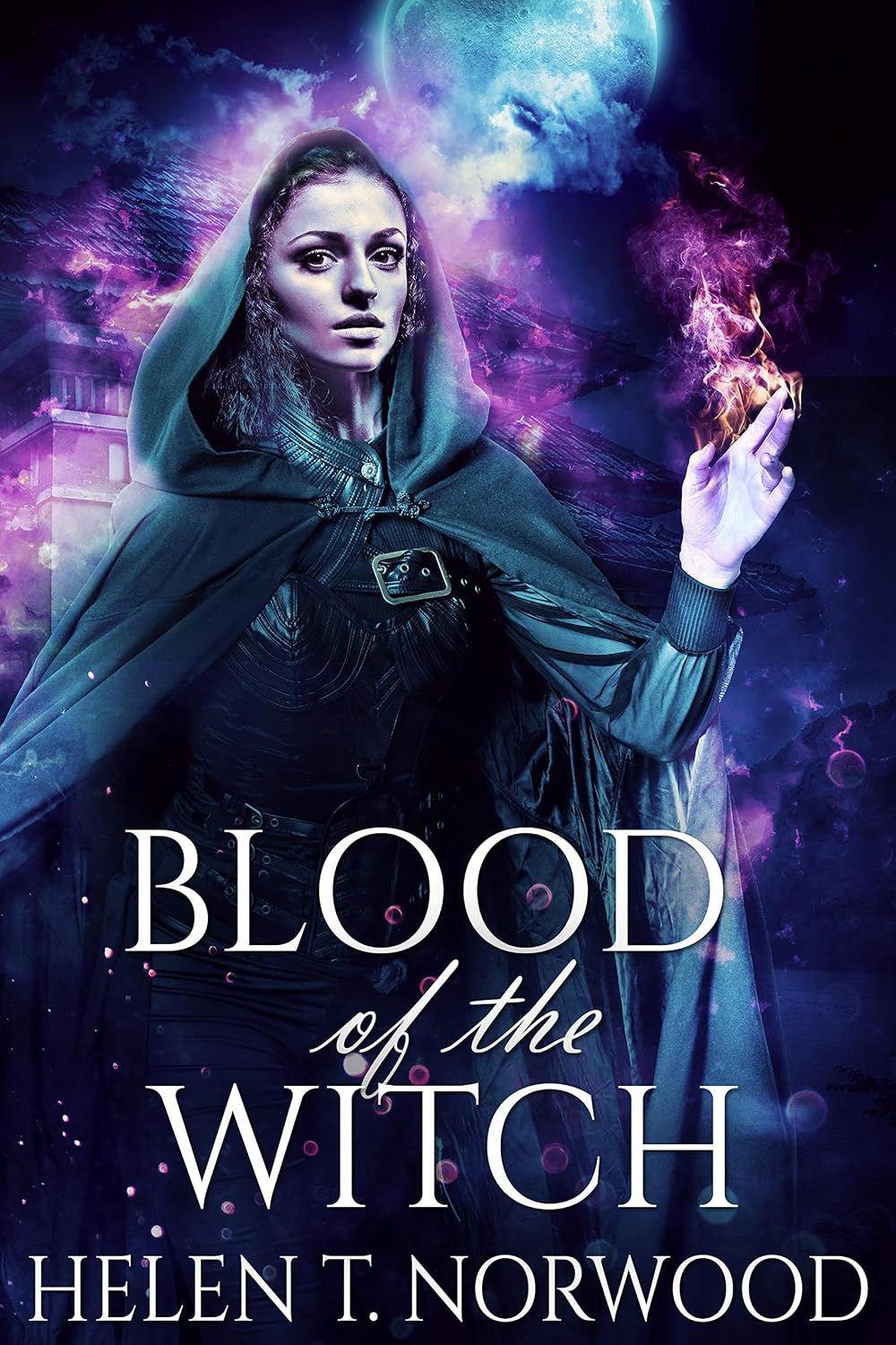 Blood of the Witch by Helen T. Norwood book cover