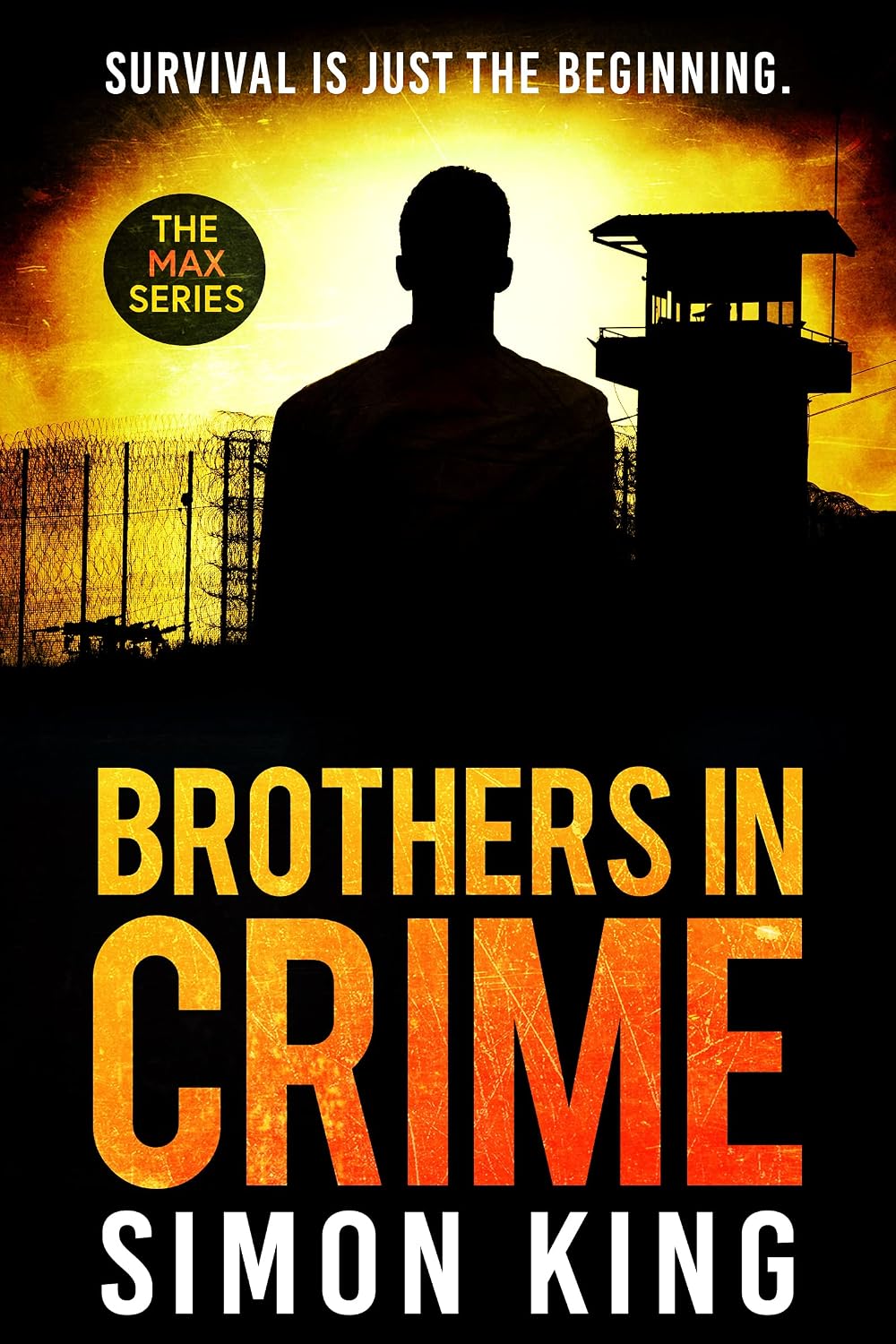 Brothers in Crime by Simon King book cover