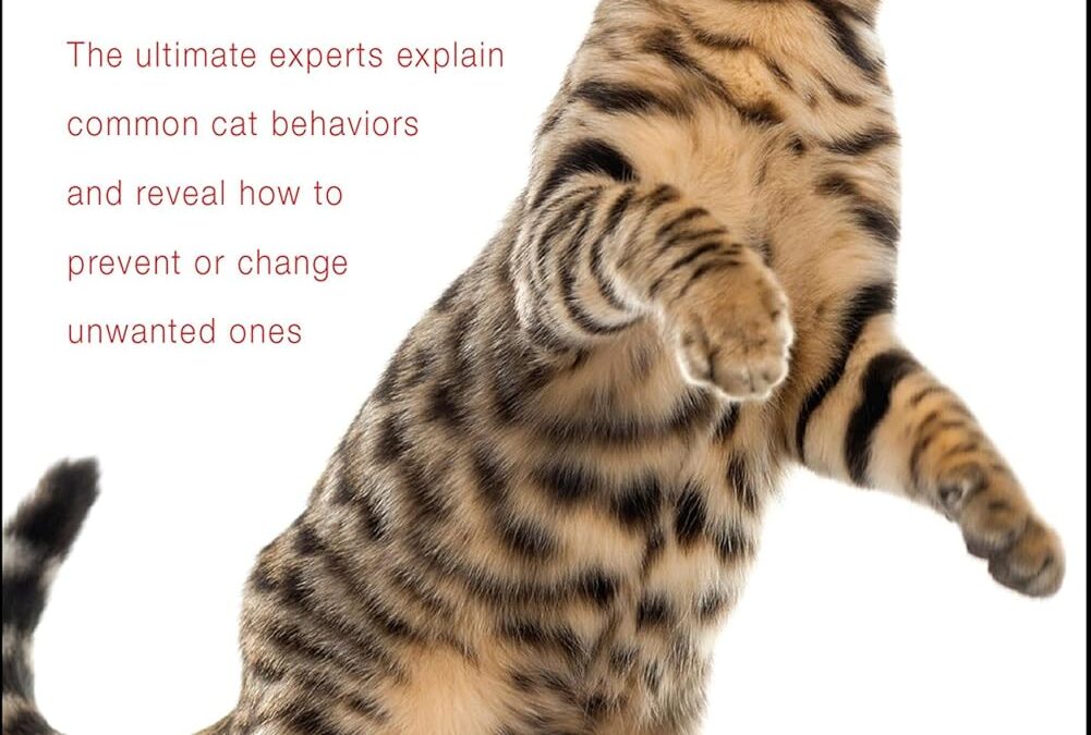 Decoding Your Cat