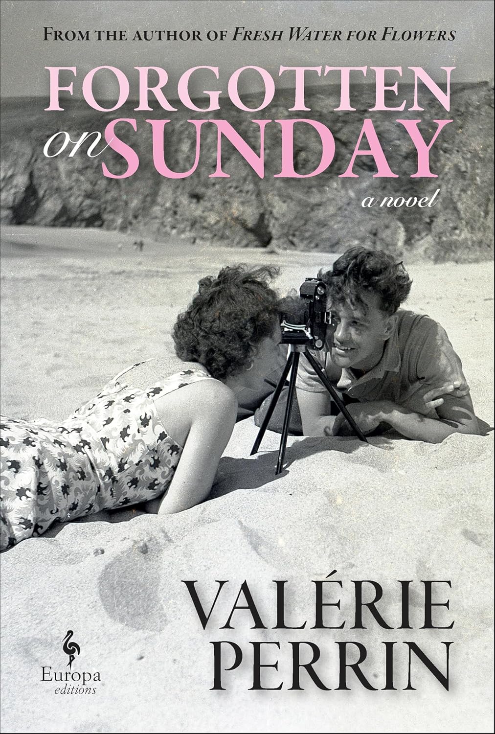 Forgotten on Sunday by Valérie Perrin book cover
