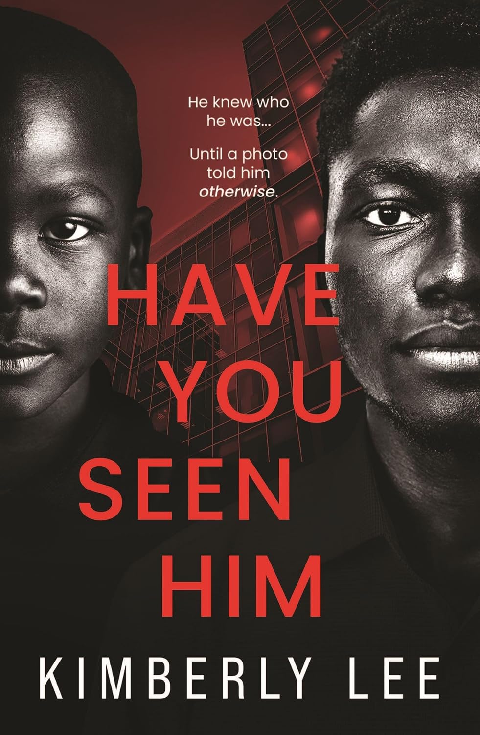 Have You Seen Him by Kimberly Lee book cover