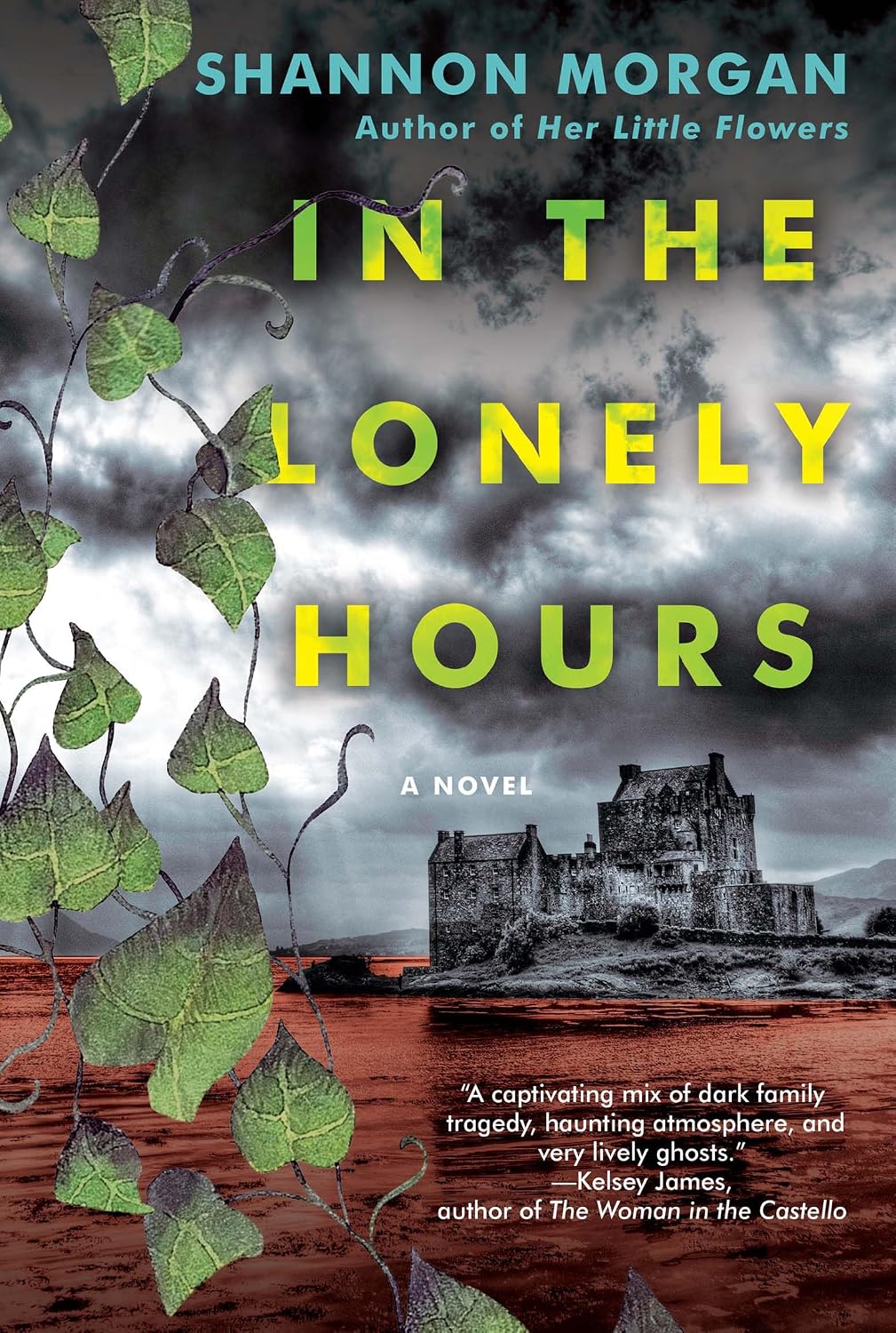 In the Lonely Hours by Shannon Morgan book cover