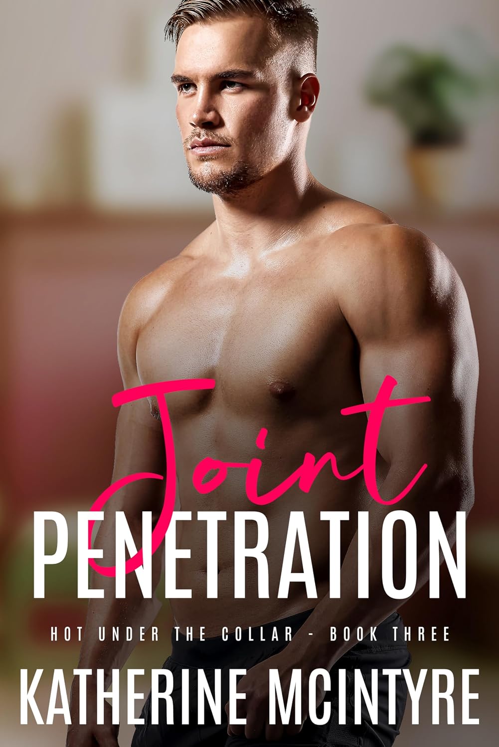 Joint Penetration by Katherine McIntyre book cover