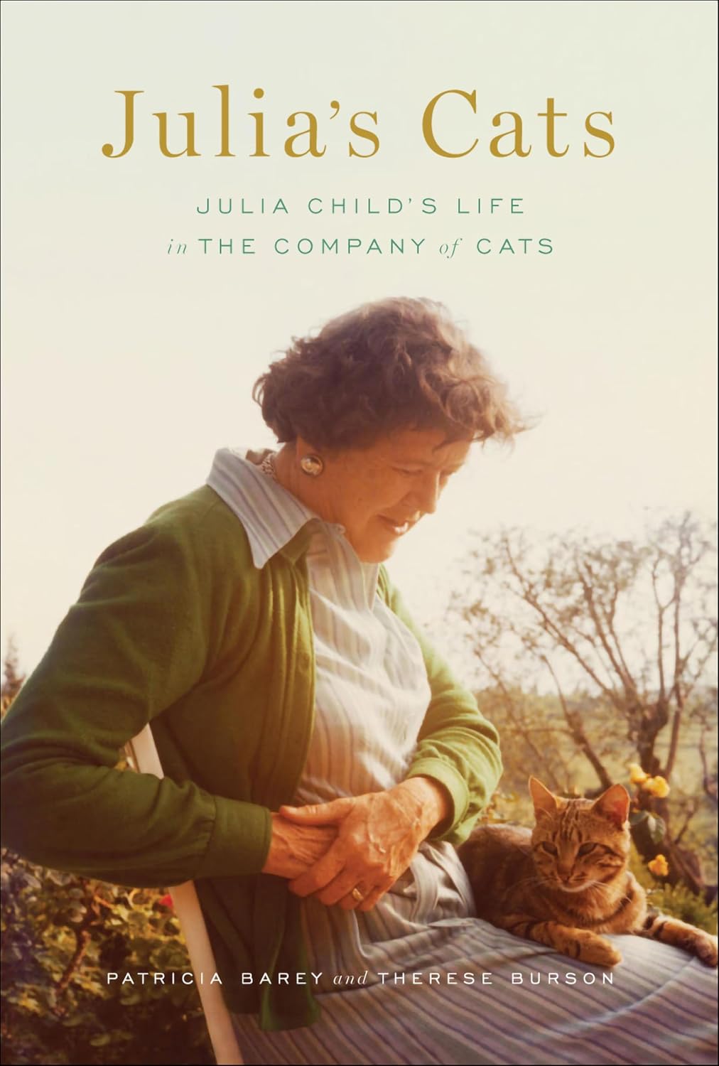 Julia’s Cats by Patricia Barey book cover