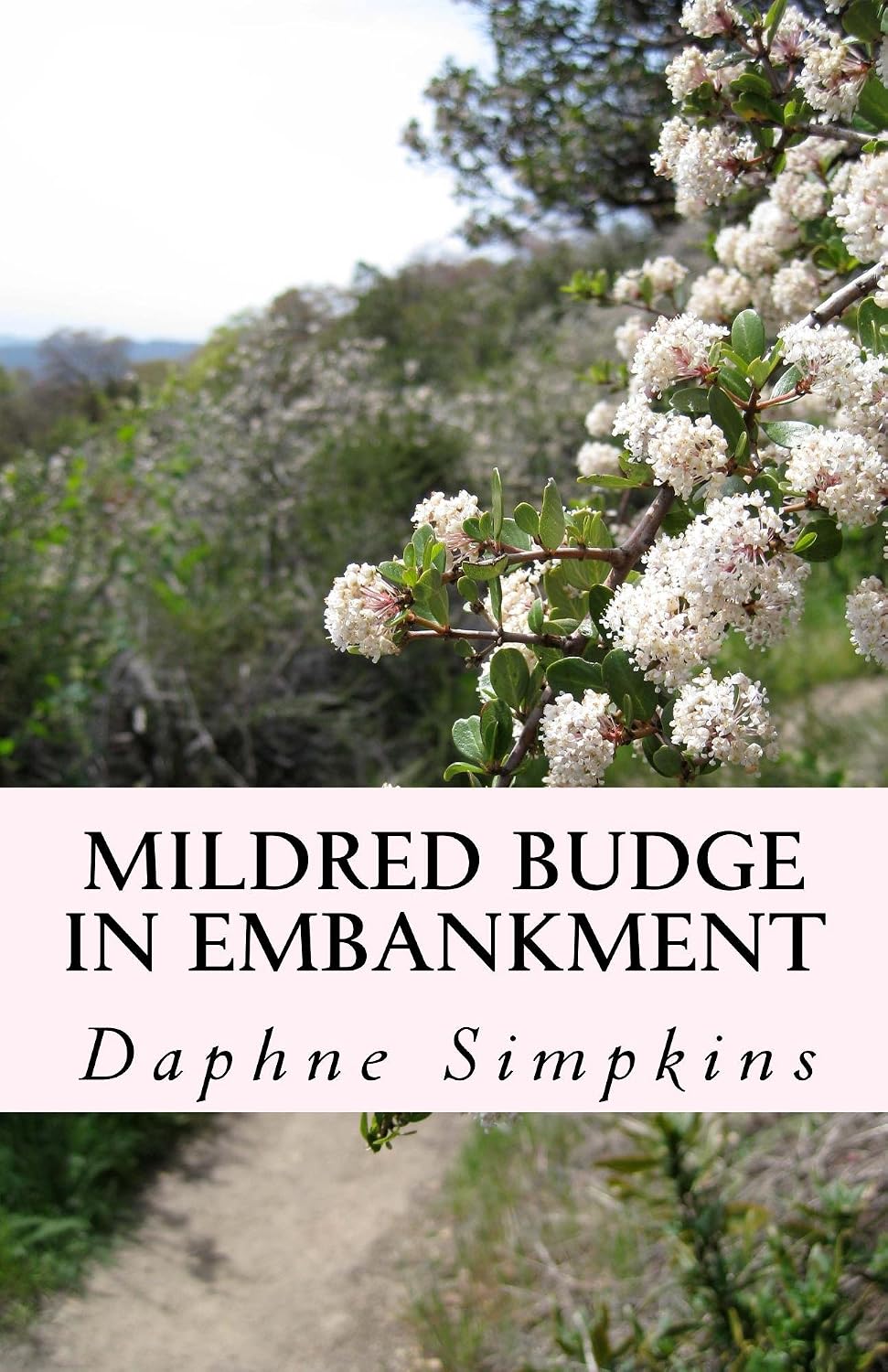 Mildred Budge in Embankment by Daphne Simpkins book cover