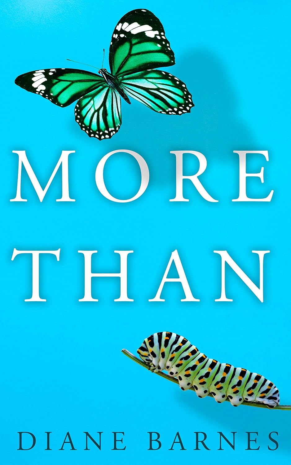 More Than by Diane Barnes book cover