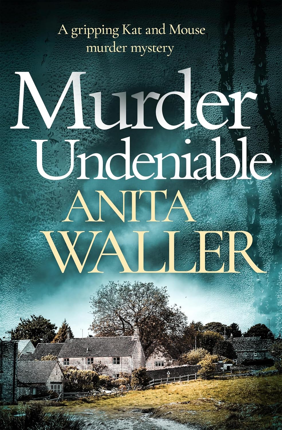 Murder Undeniable by Anita Waller book cover