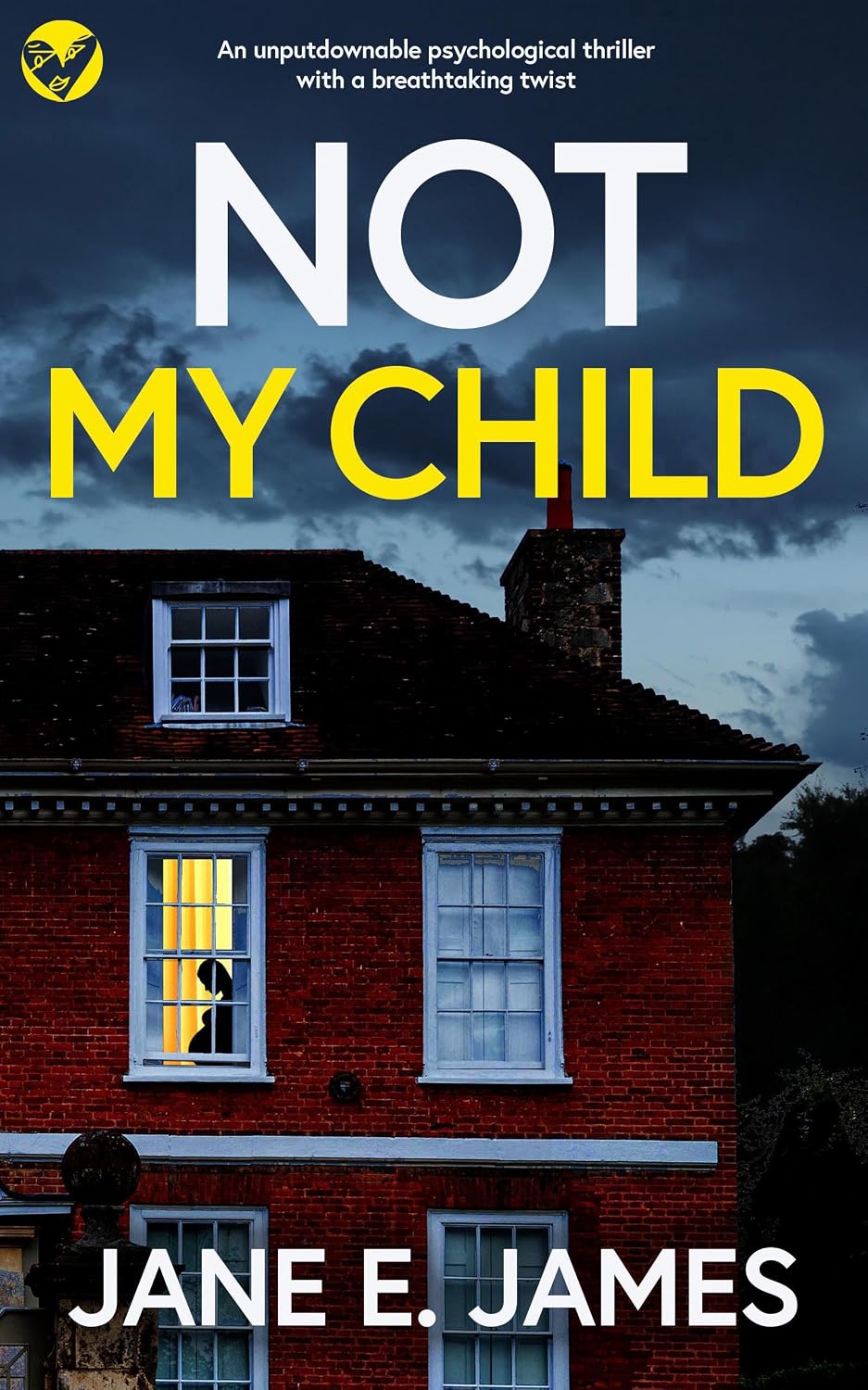 Not My Child by Jane E. James book cover