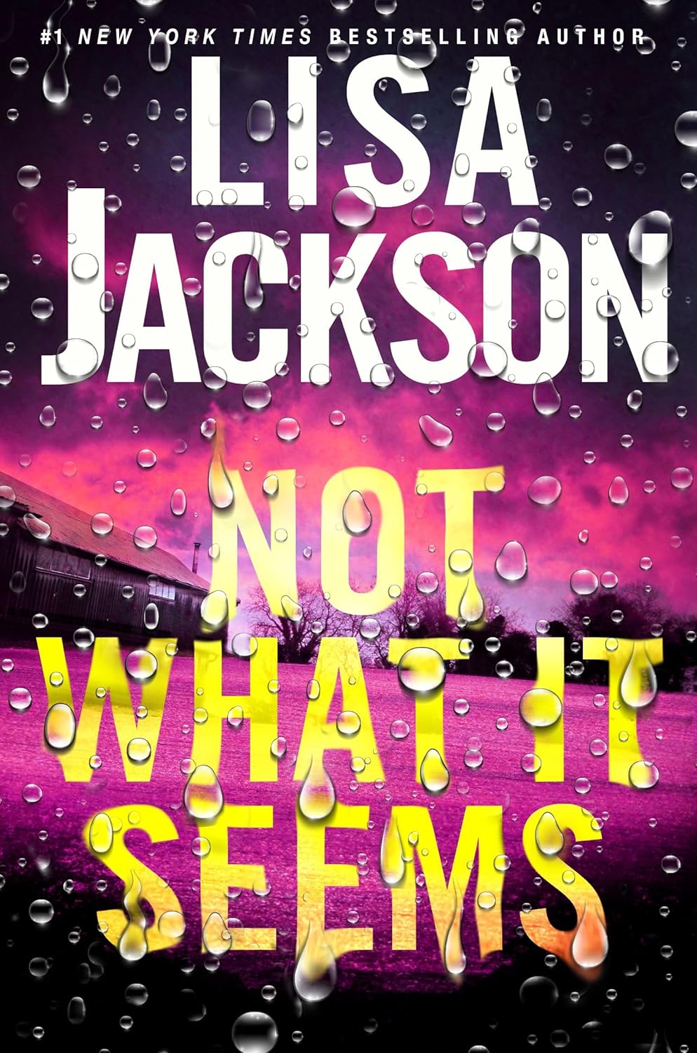 Not What It Seems by Lisa Jackson book cover