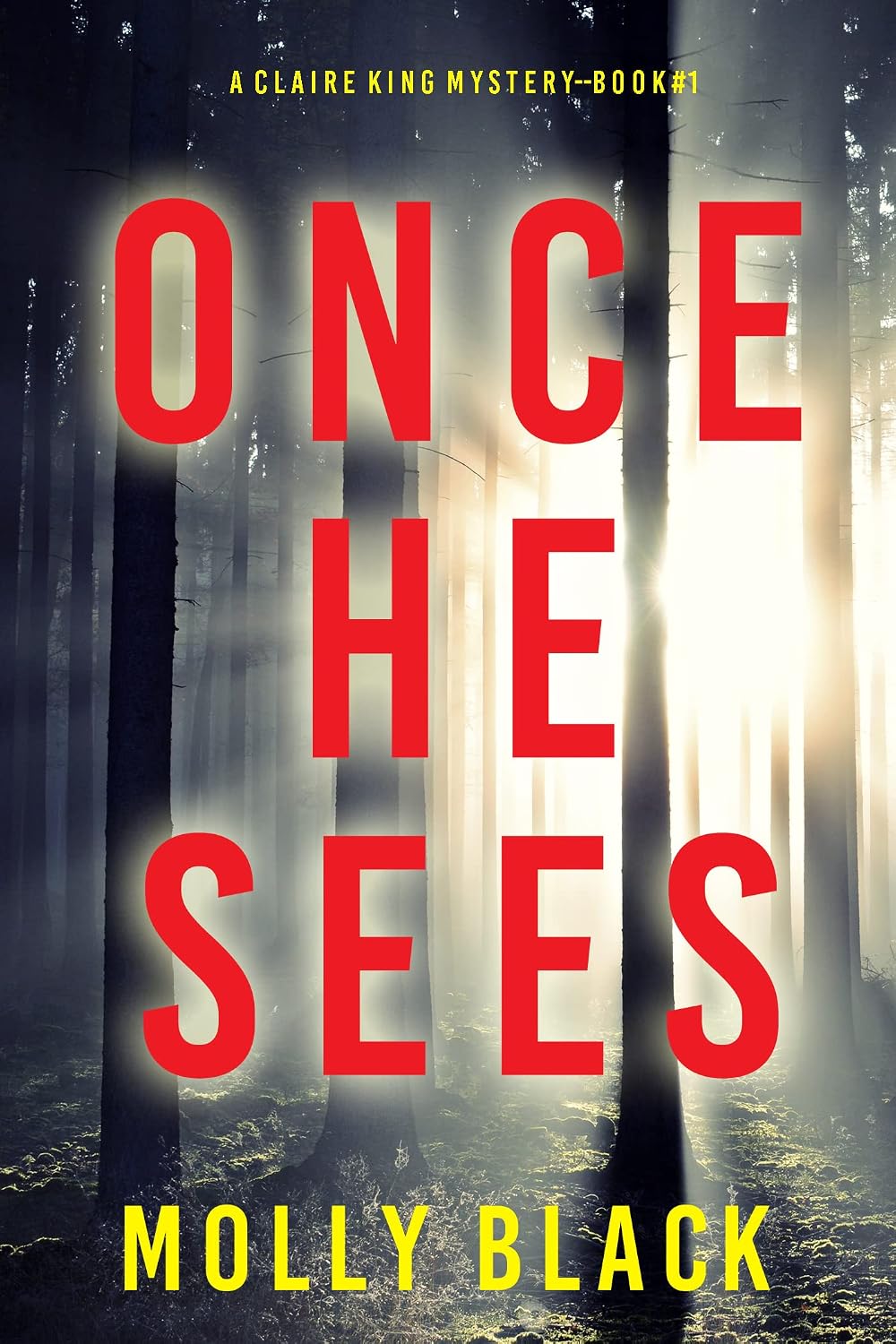 Once He Sees by Molly Black book cover