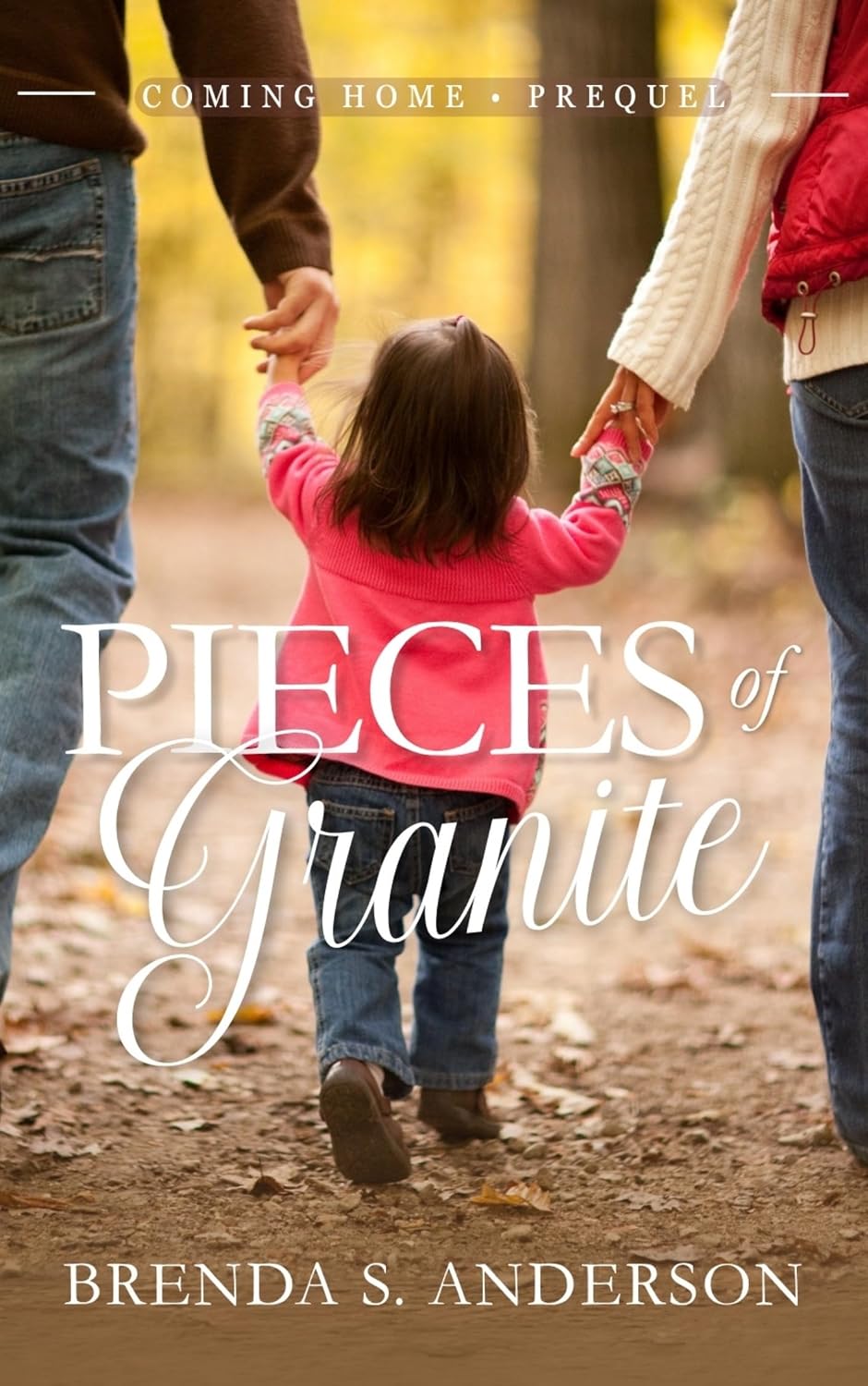 Pieces of Granite by Brenda S. Anderson book cover