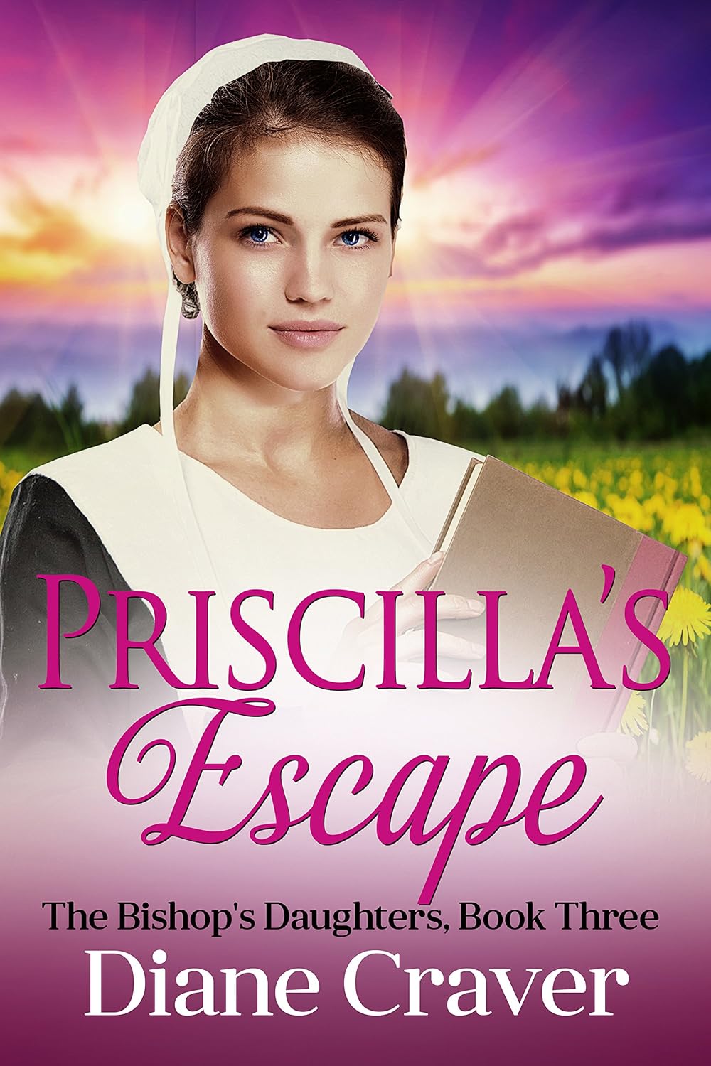 Priscilla’s Escape by Diane Craver book cover