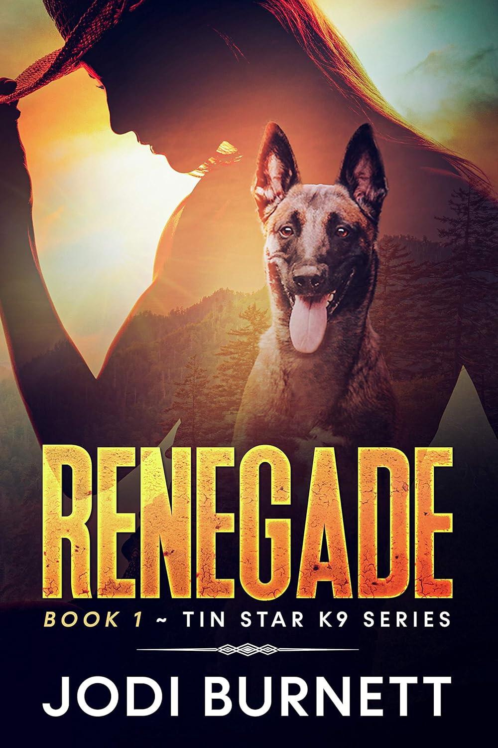 Renegade by Jodi Burnett book cover