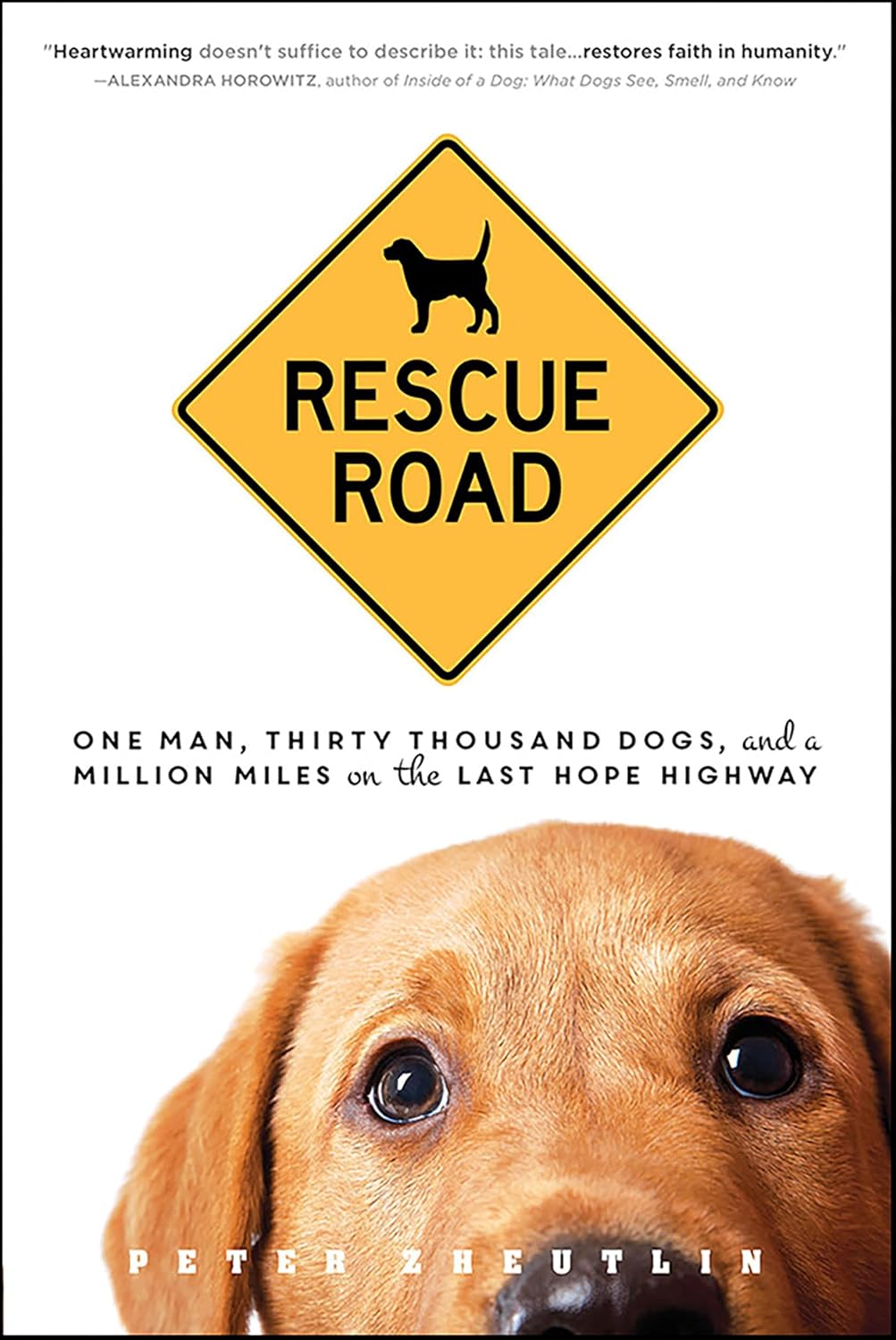 Rescue Road by Peter Zheutlin book cover