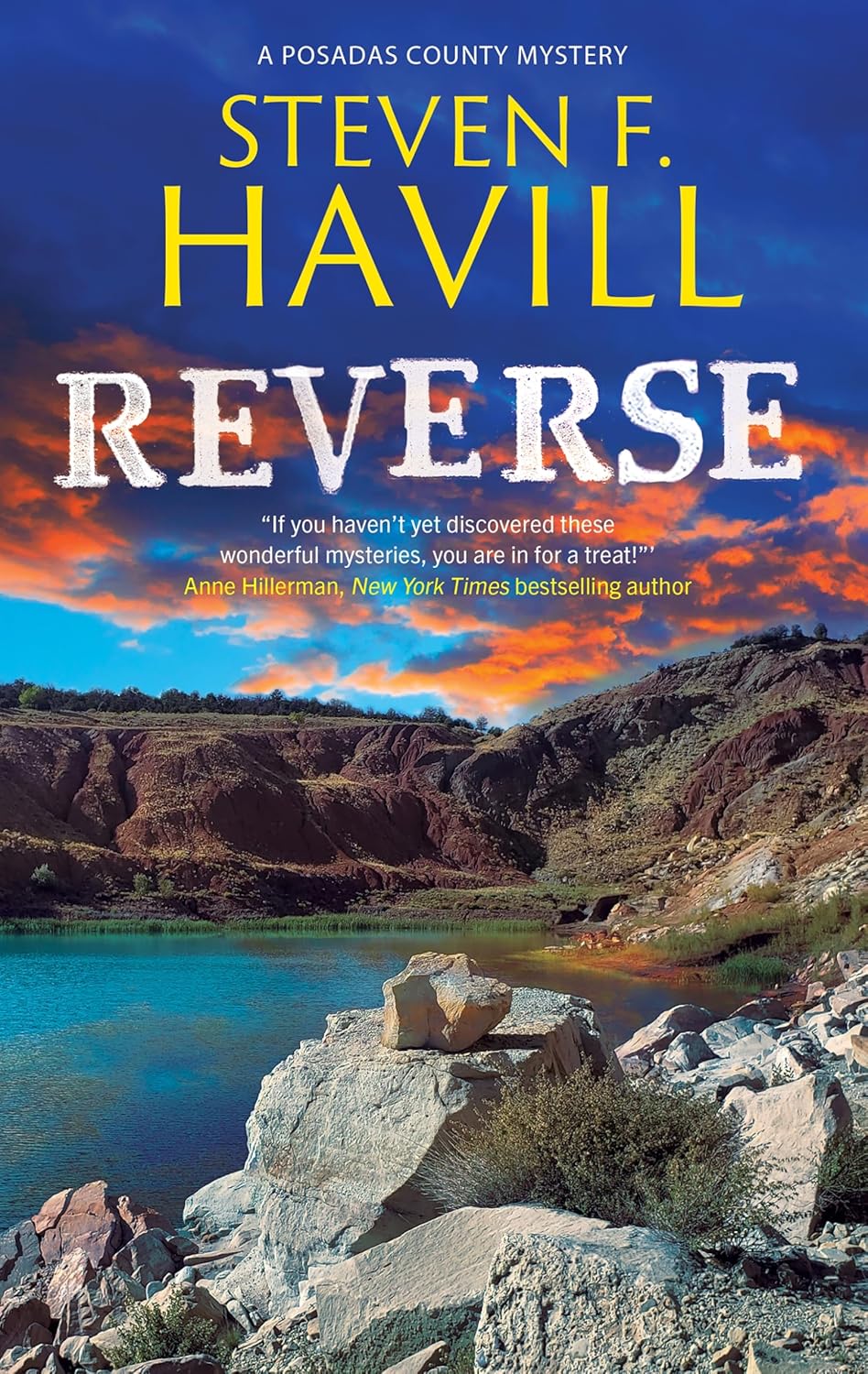 Reverse by Steven F. Havill book cover