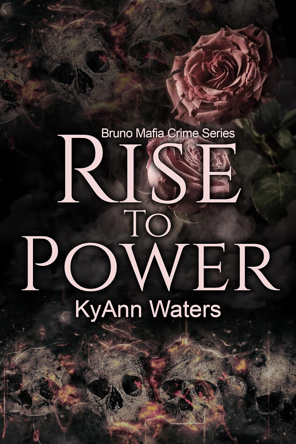 Rise to Power by KyAnn Waters book cover