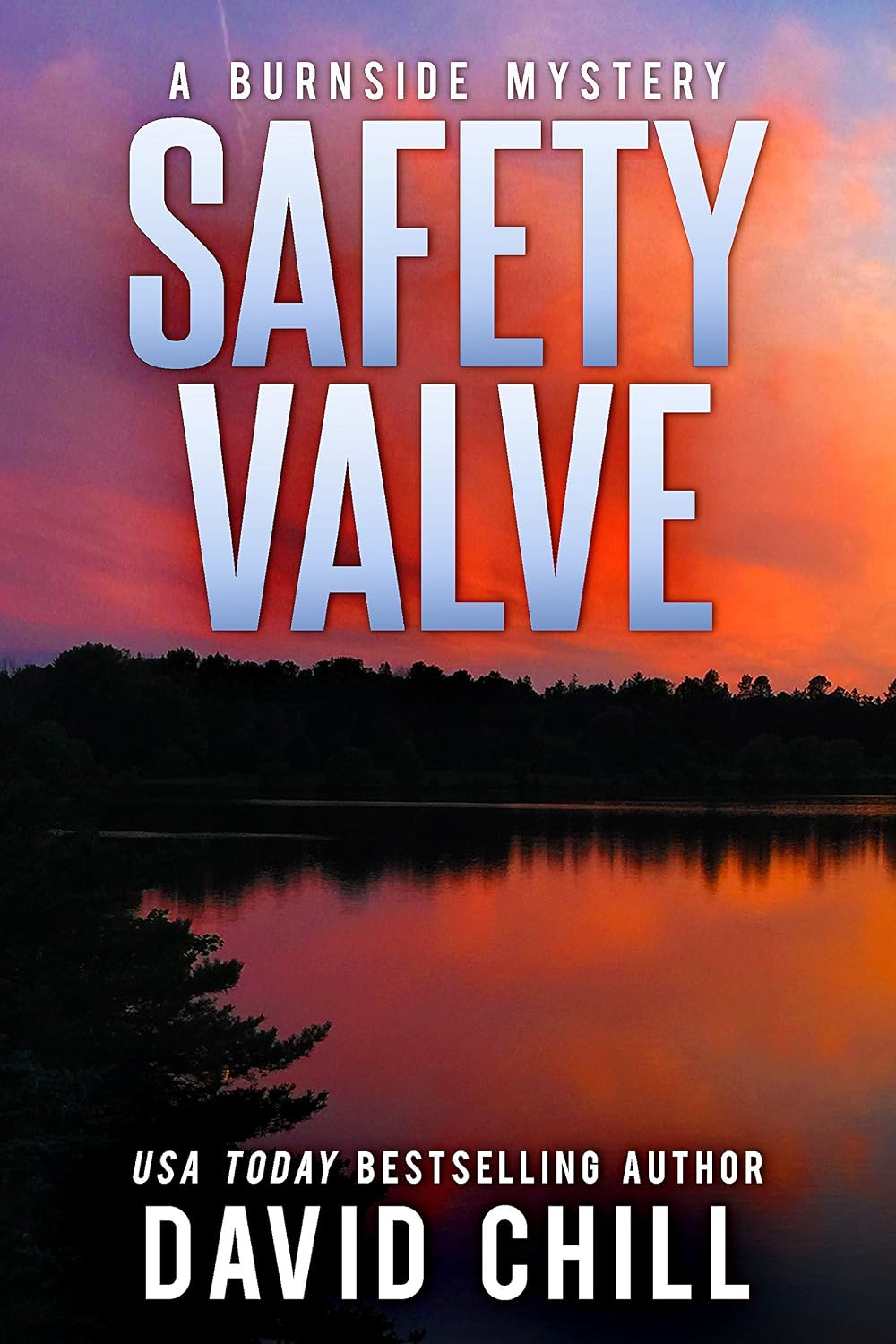 Safety Valve by David Chill book cover