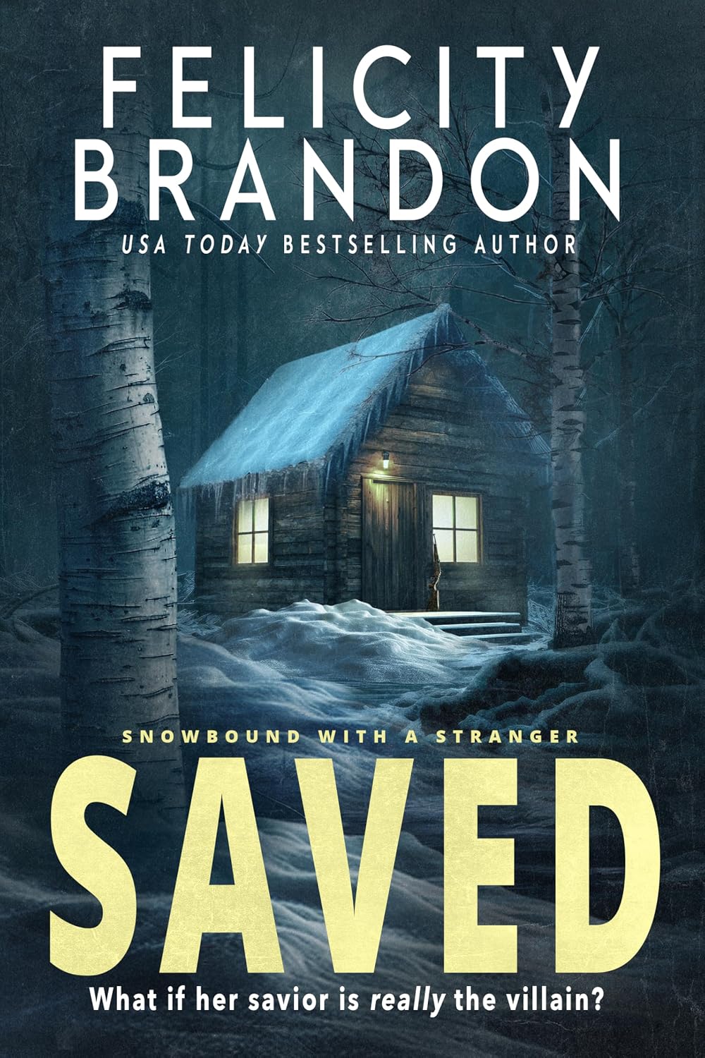 Saved by Felicity Brandon book cover