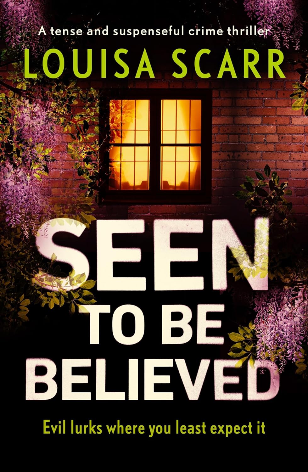 Seen to Be Believed by Louisa Scarr book cover