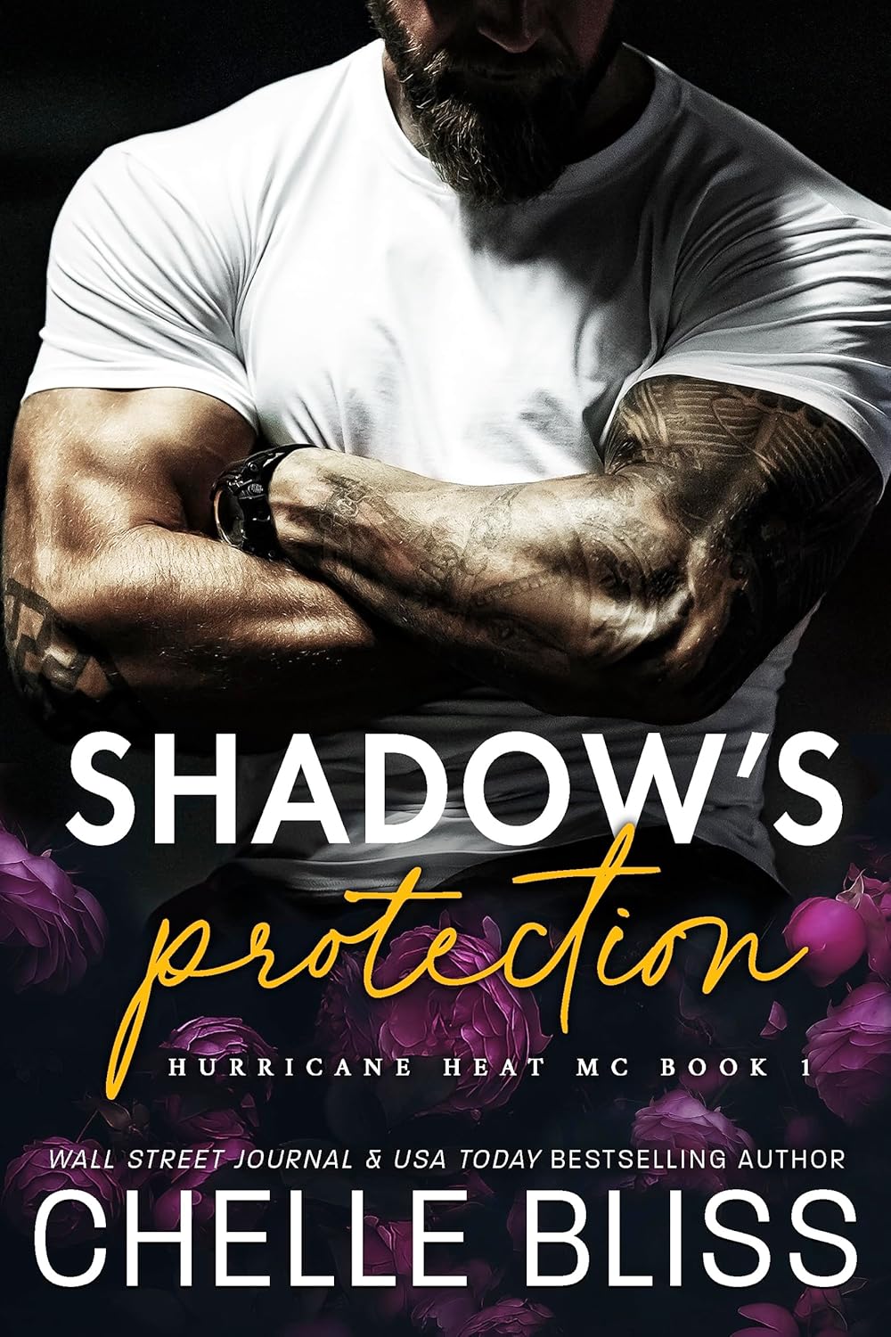 Shadow’s Protection by Chelle Bliss book cover