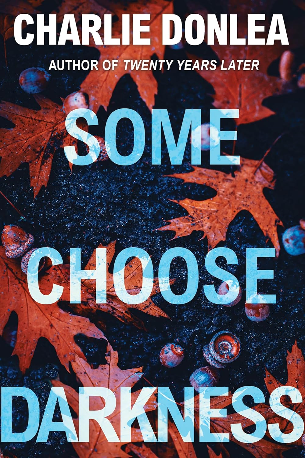 Some Choose Darkness by Charlie Donlea book cover