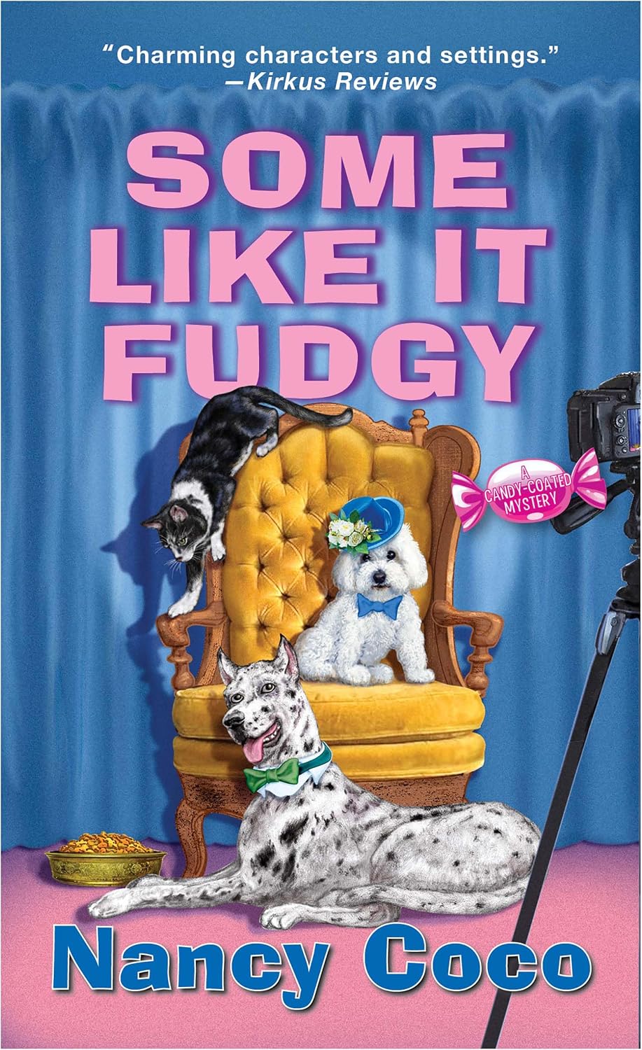 Some Like It Fudgy by Nancy Coco book cover