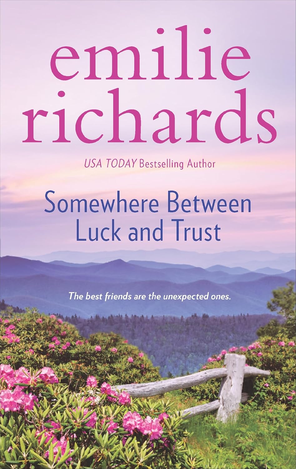Somewhere Between Luck and Trust by Emilie Richards book cover