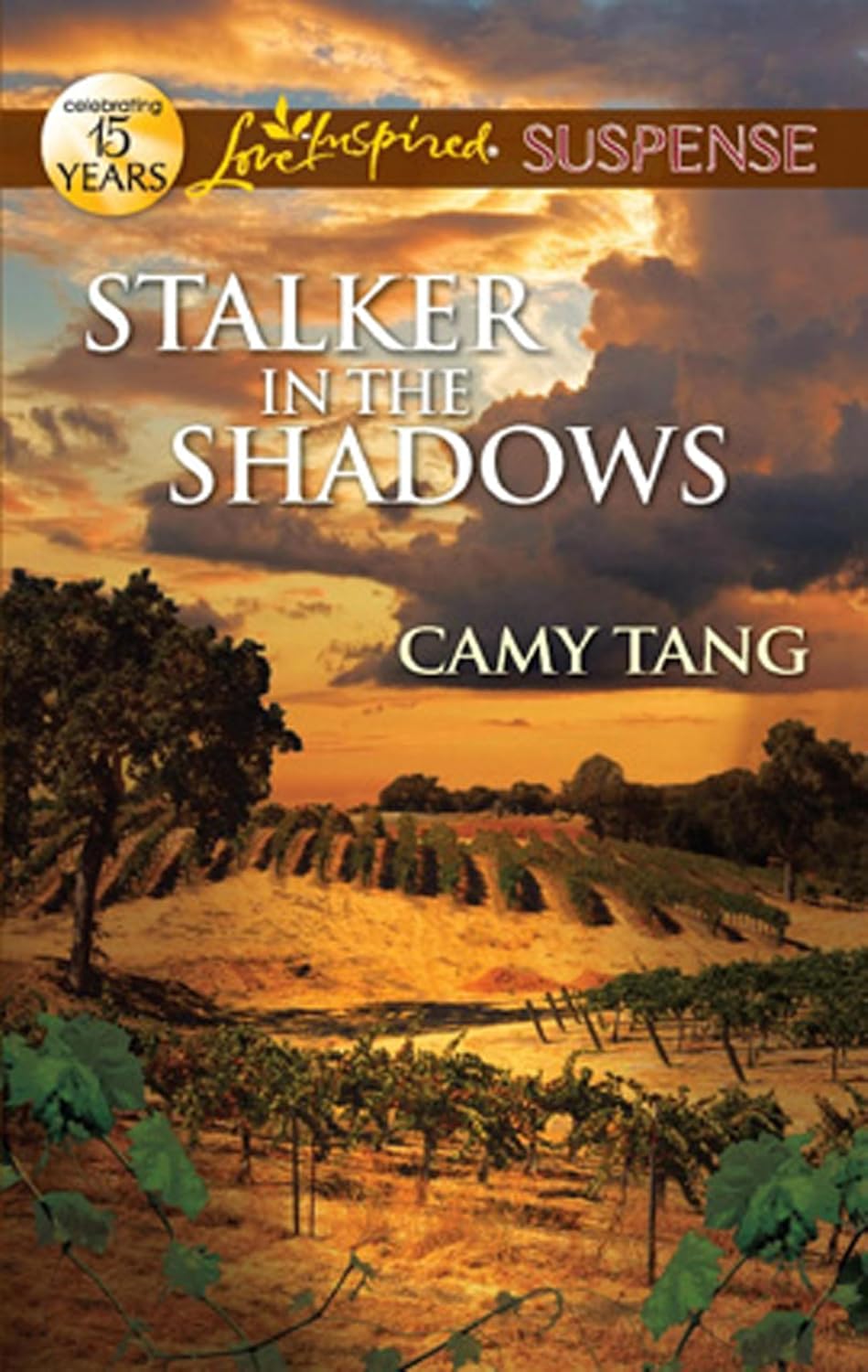 Stalker in the Shadows by Camy Tang book cover