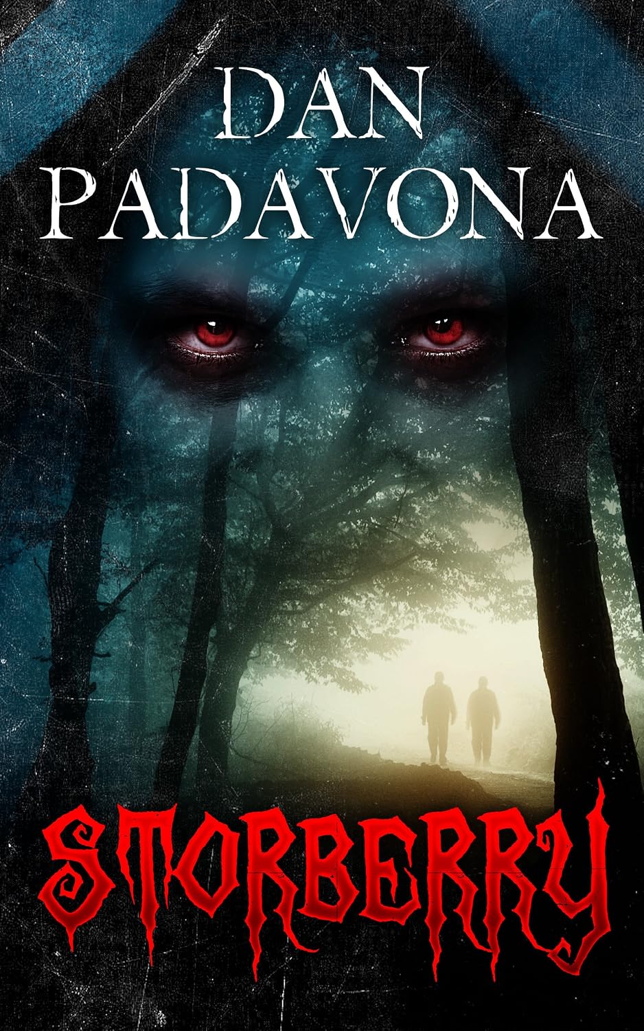 Storberry by Dan Padavona book cover