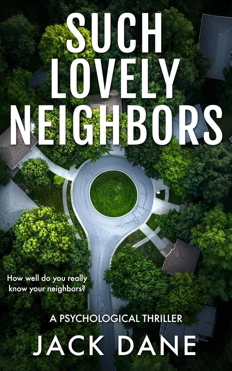 Such Lovely Neighbors by Jack Dane book cover