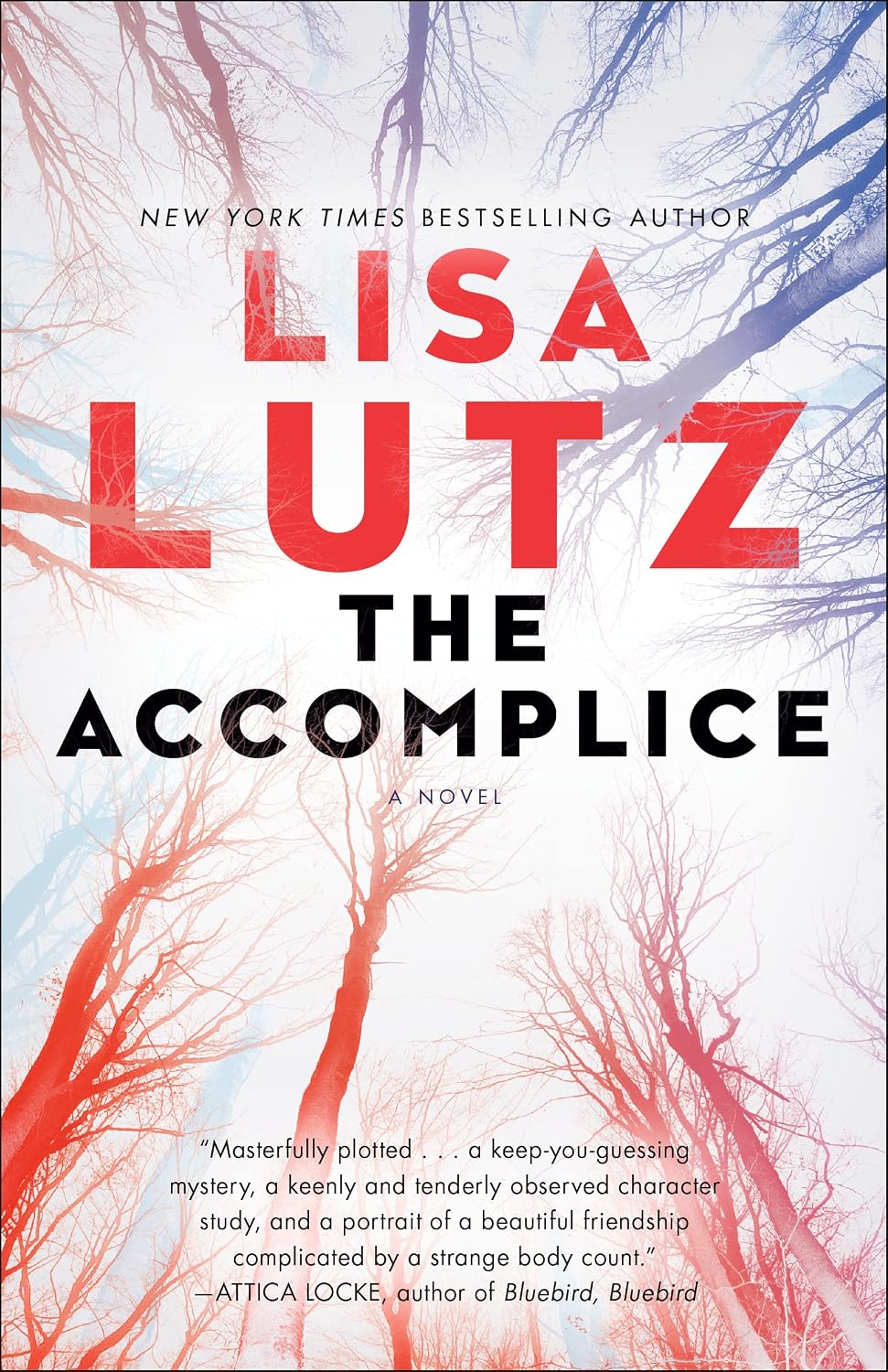 The Accomplice by Lisa Lutz book cover