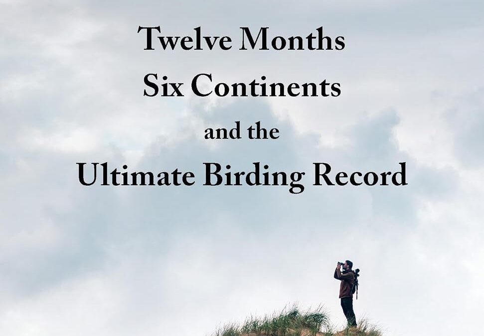 The (Big) Year That Flew By