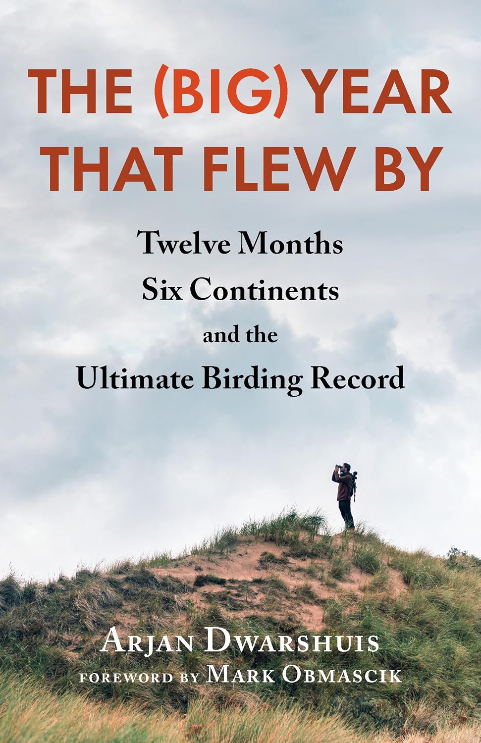 The (Big) Year That Flew By by Arjan Dwarshuis book cover
