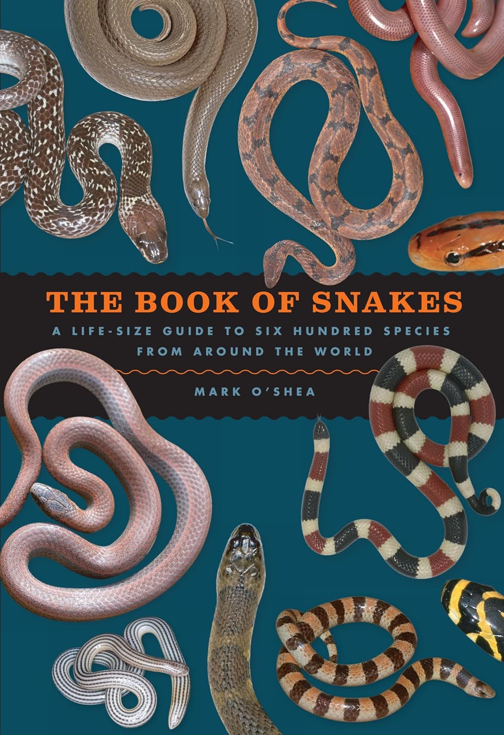 The Book of Snakes by Mark O’Shea book cover
