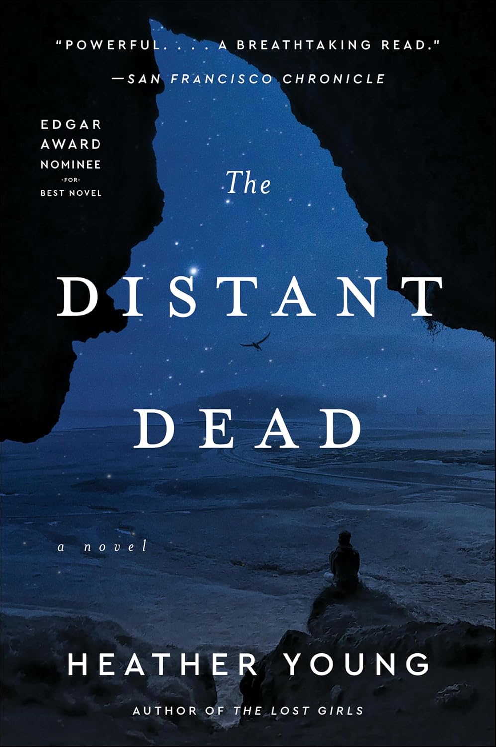 The Distant Dead by Heather Young book cover