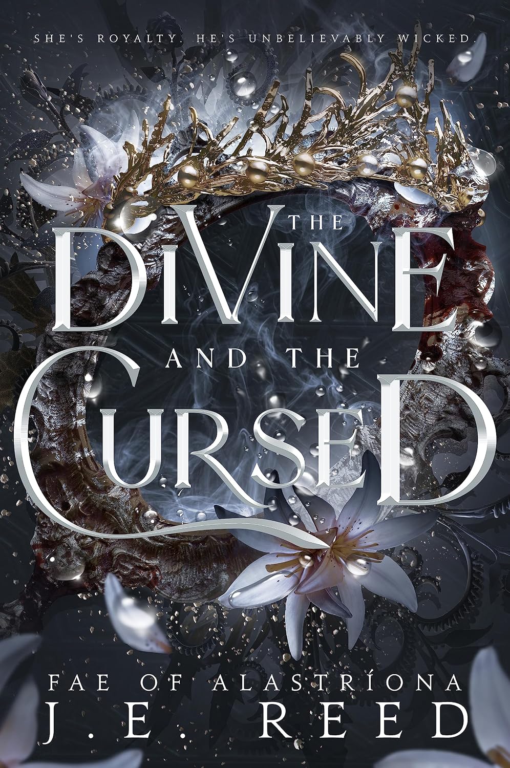 The Divine and the Cursed by J.E. Reed book cover
